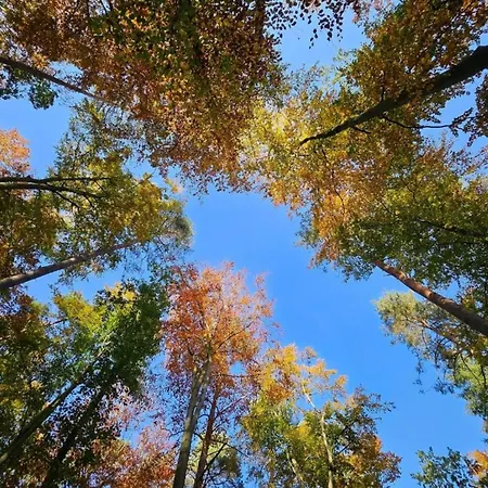 Liebevoll Eingerichtetes Apartamento Rechlin